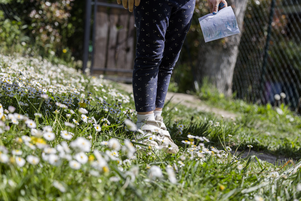 scuola all'aperto bologna - i passerotti