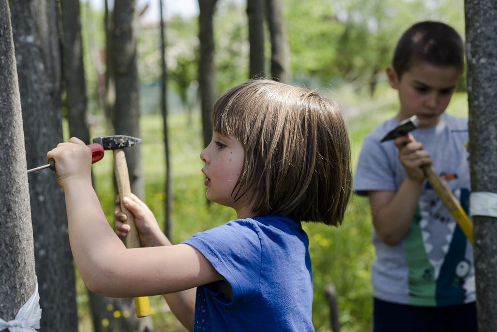 asilo nido privato bologna - i passerotti